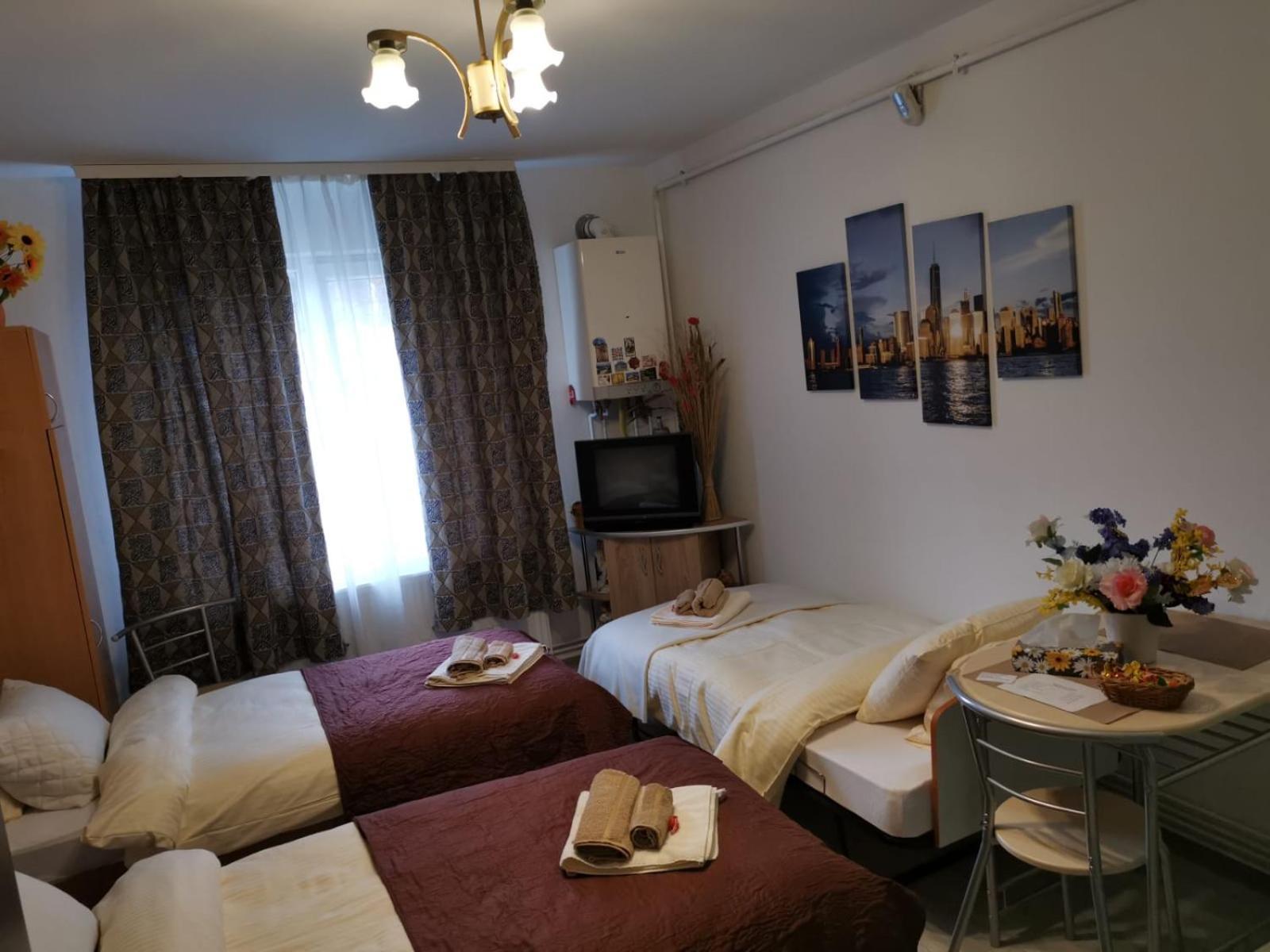 Central Studio Hunedoara Exteriér fotografie