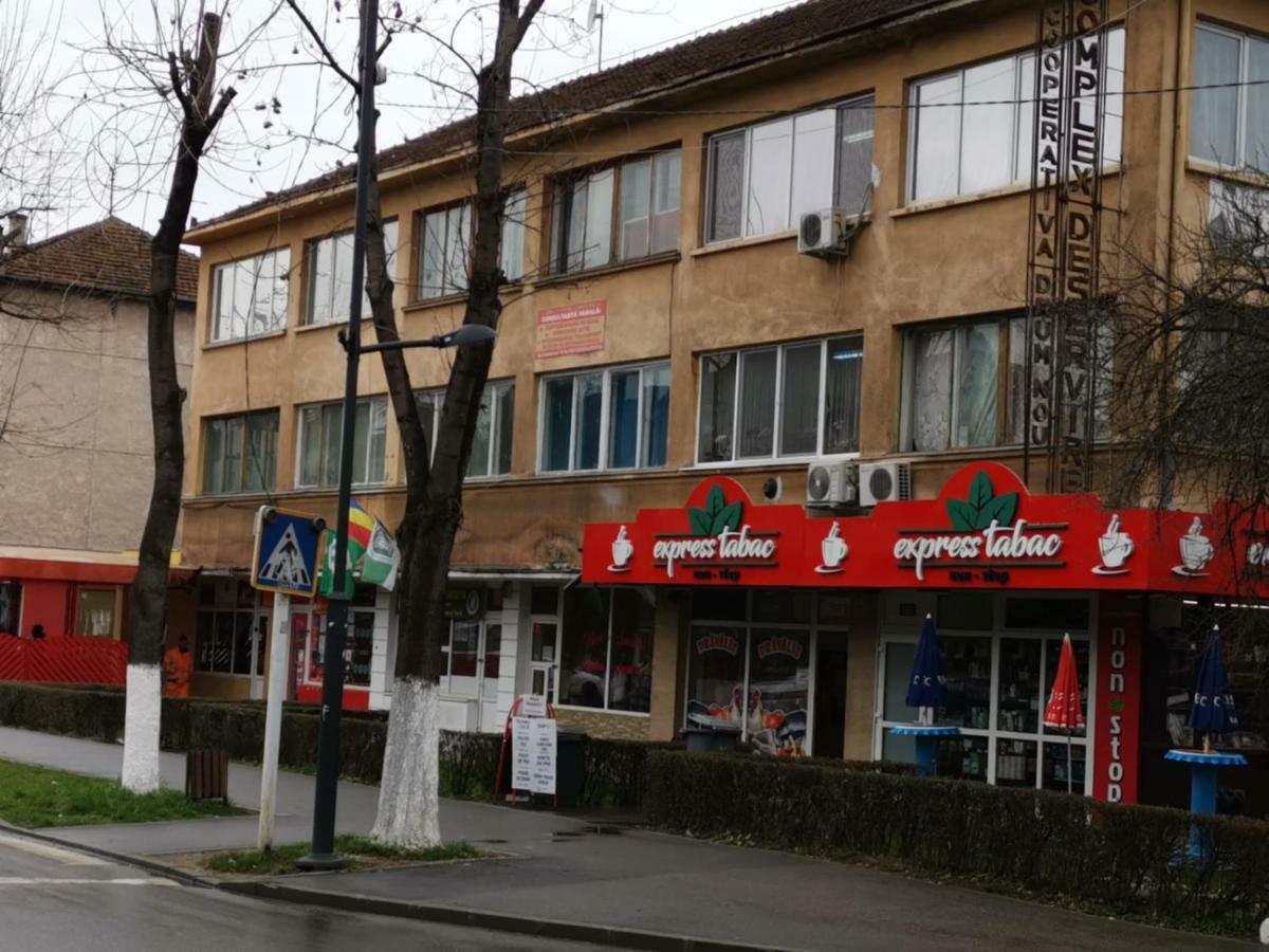 Central Studio Hunedoara Exteriér fotografie